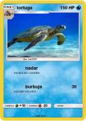 tortuga