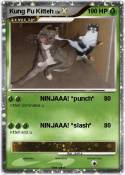 Kung Fu Kitteh
