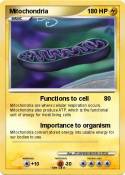 Mitochondria