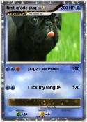 first grade pug