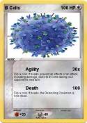 B Cells