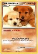CANI TENERI