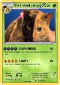 the 2 sided cat