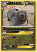 DED DOG