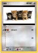 cats