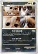 Yo Cat