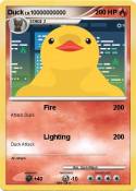 Duck