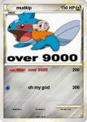 mudkip