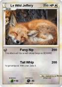 Le Wild Jeffery