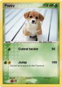 Puppy