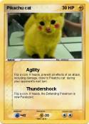 Pikachu cat