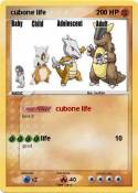 cubone life