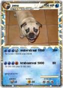 zeno