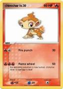 chimchar lv.30