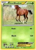 MoonShadow