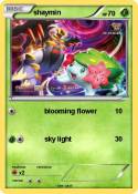 shaymin