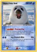 Happy Harp Seal