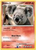 Koala Koala
