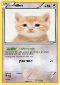 kitten