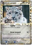 Snow Leopard Snow Leopard