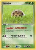 Hedgehog
