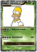 HOMER SIMPSON
