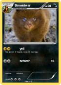 Brownbear