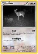 Deer
