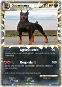 Dobermann