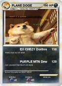 PLANE DOGE