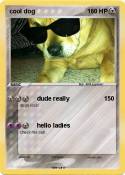 cool dog