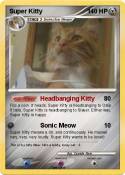 Super Kitty