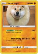 Vote 4 doge