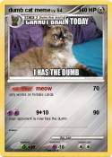 dumb cat meme
