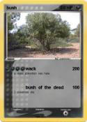 bush