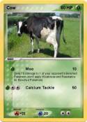Cow