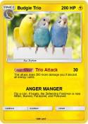 Budgie Trio