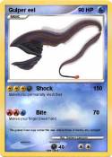 Gulper eel Gulper eel