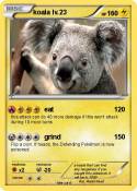 koala lv.23
