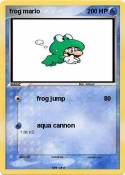 frog mario