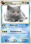 Pikachoo