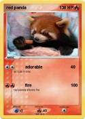 red panda