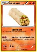 Spicy Burrito