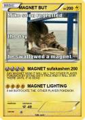 MAGNET BUT