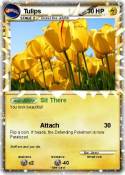 Tulips Tulips