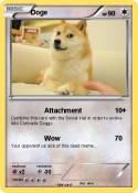 Doge