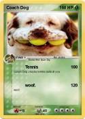 Coach Dog