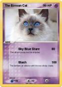 The Birman Cat