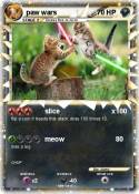 paw wars