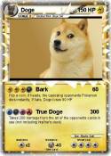 Doge